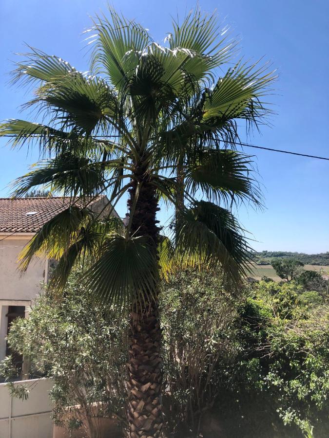 Gite Le Palmier - Perfectly Located Cosy Studio With Private Garden Puissalicon Exterior foto