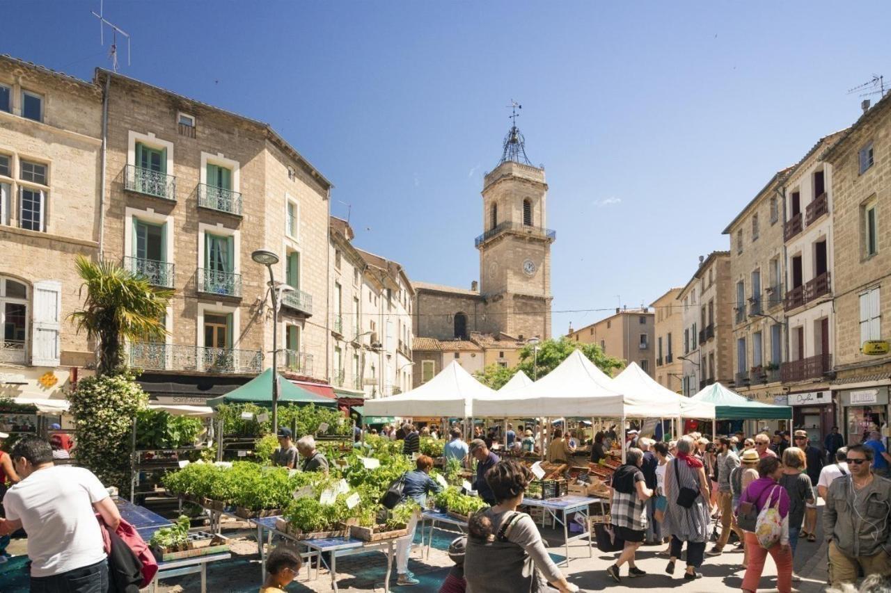 Gite Le Palmier - Perfectly Located Cosy Studio With Private Garden Puissalicon Exterior foto